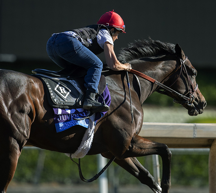 Dennis Moment trains at Santa Anita Park on Oct. 25