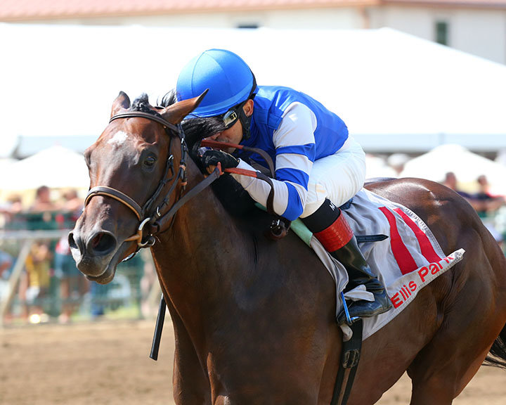 Dennis' Moment wins a July 27 maiden race at Kentucky Downs