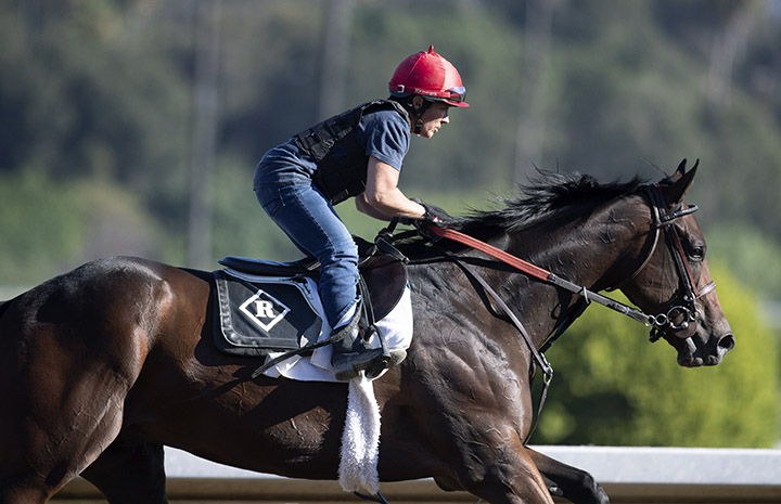 Dennis' Moment trains at Santa Anita Park on Oct. 23