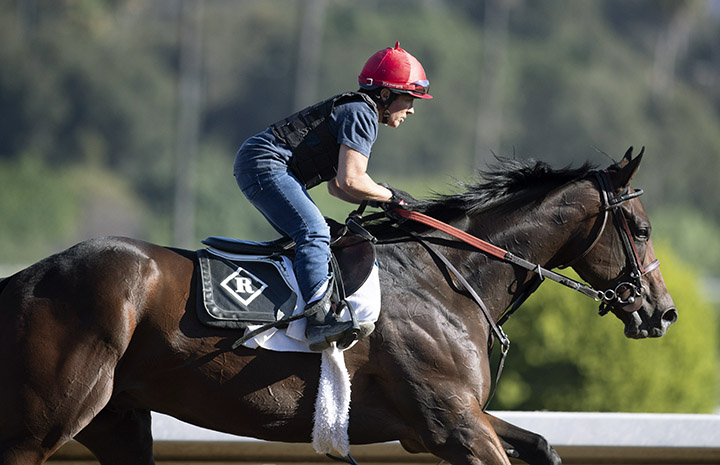 Dennis' Moment trains at Santa Anita Park on Oct. 23