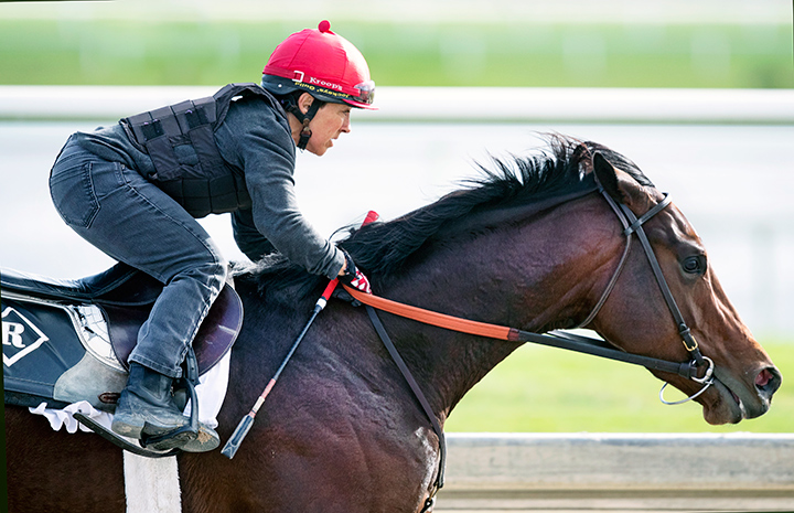 Dennis' Moment trains at Gulfstream Park on Jan. 18