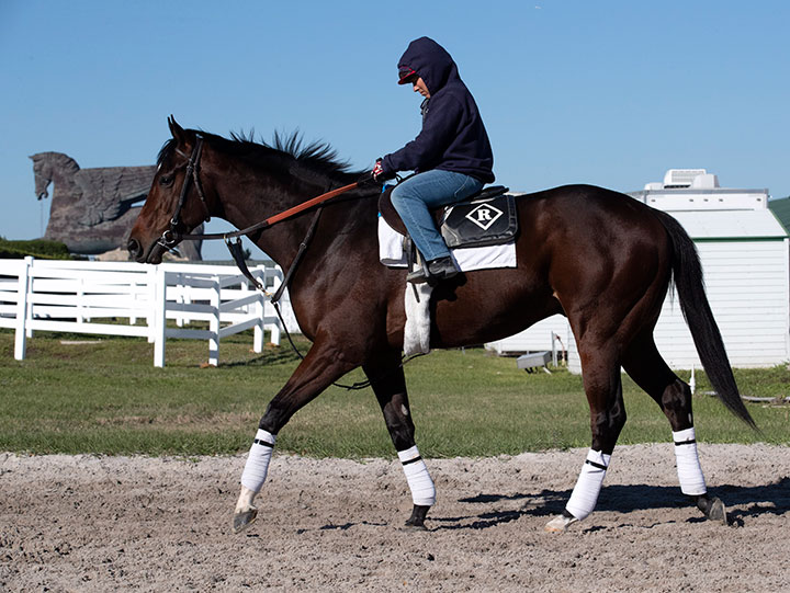 Dennis' Moment at Gulfstream Park in January 2020