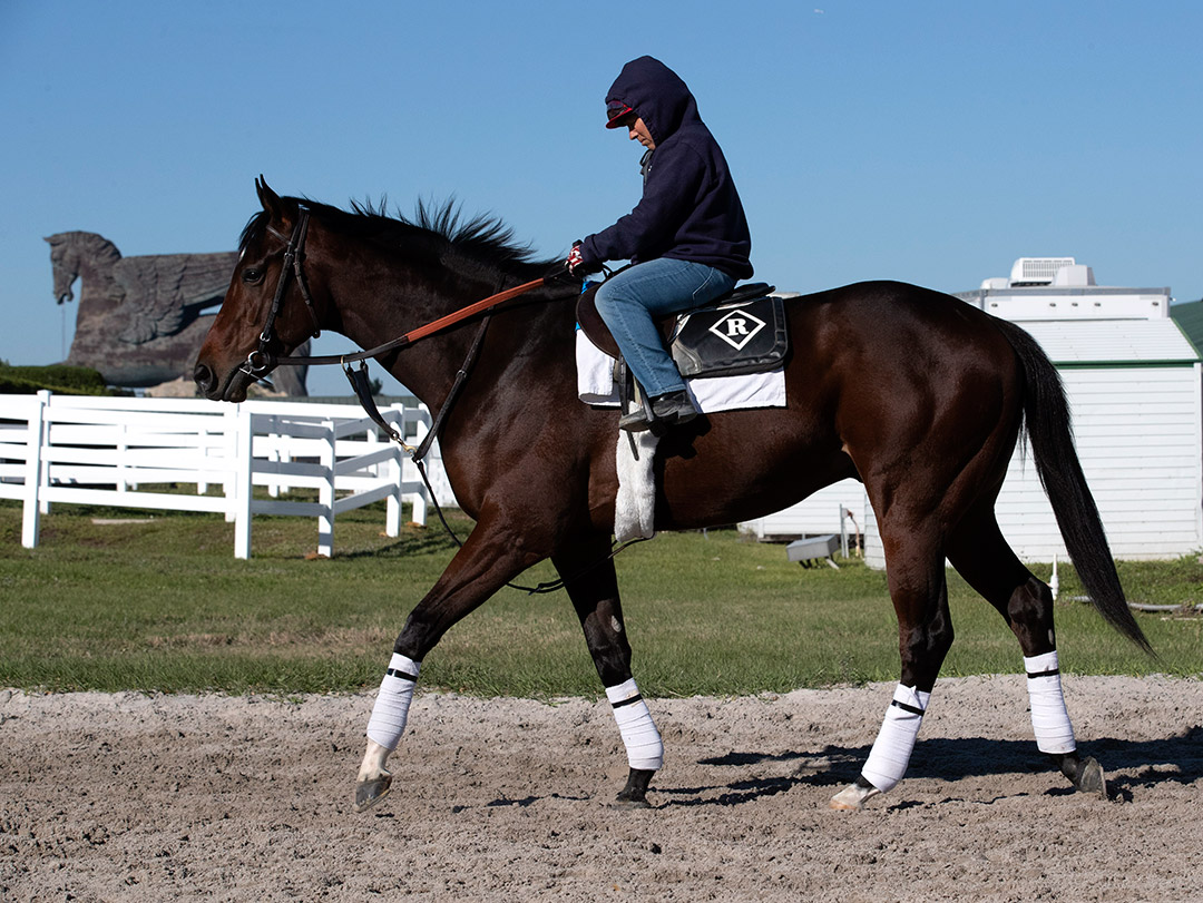 Dennis' Moment at Gulfstream Park in January 2020