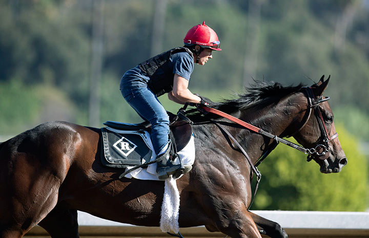 Dennis' Moment trains at Santa Anita Park on Oct. 23