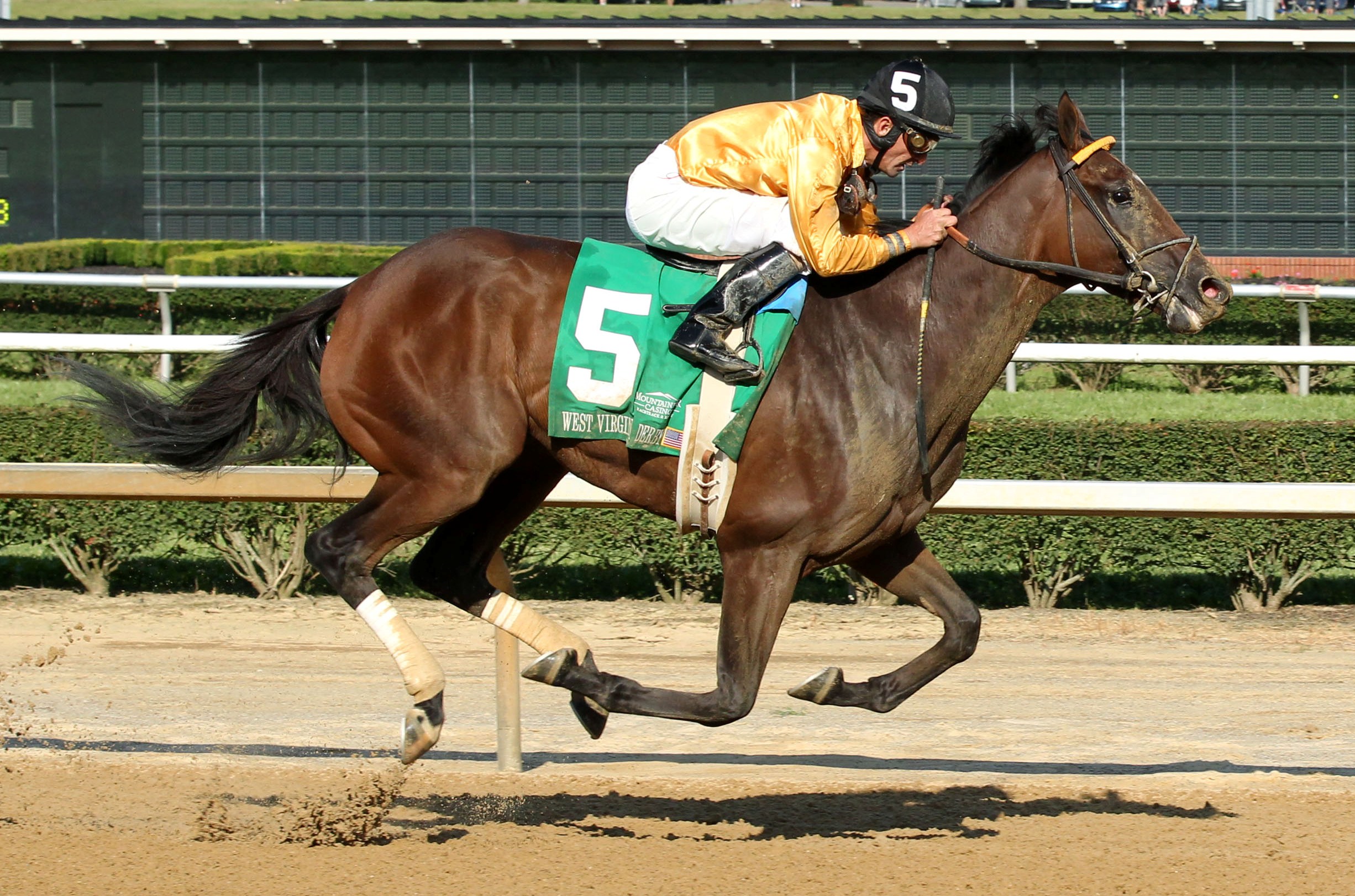 Departing, West Virginia Derby