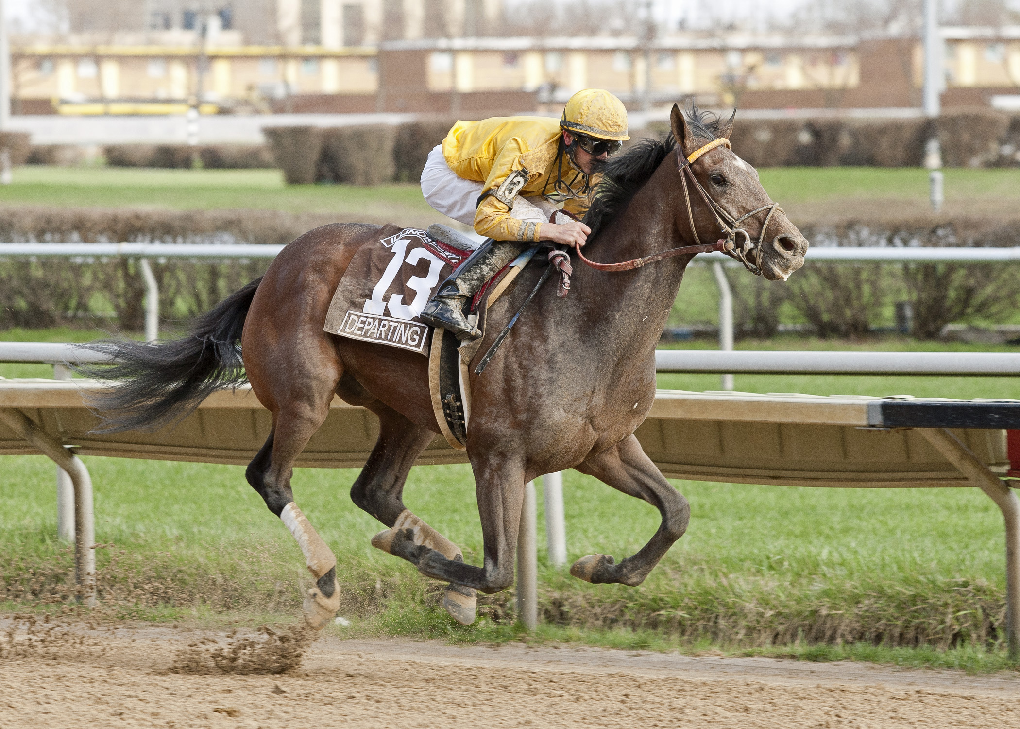 Departing, Illinois Derby