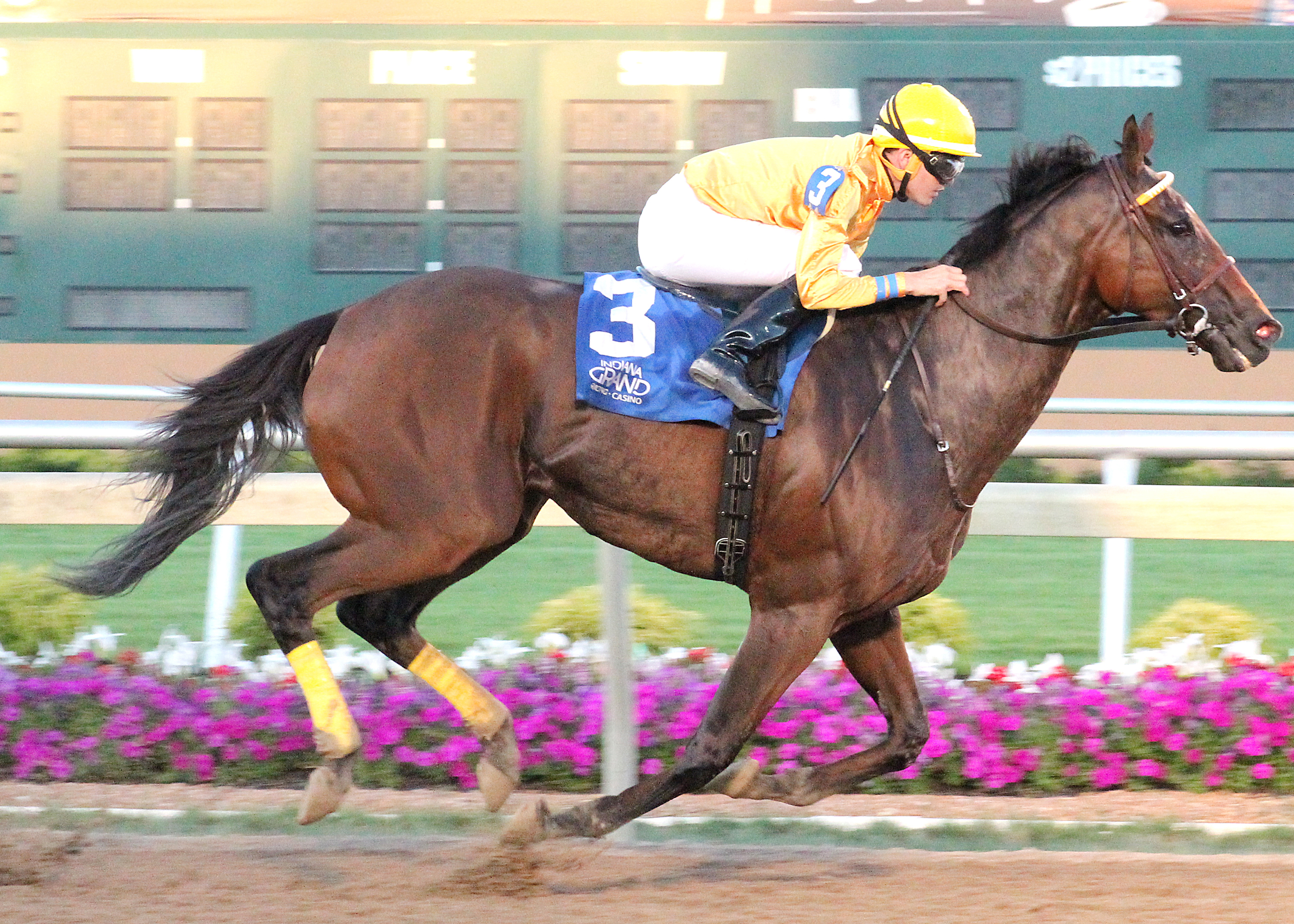 Departing wins the Michael G. Schaefer Memorial