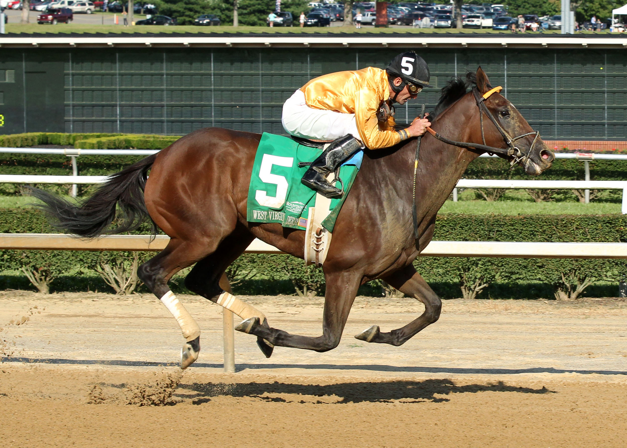 Departing, West Virginia Derby