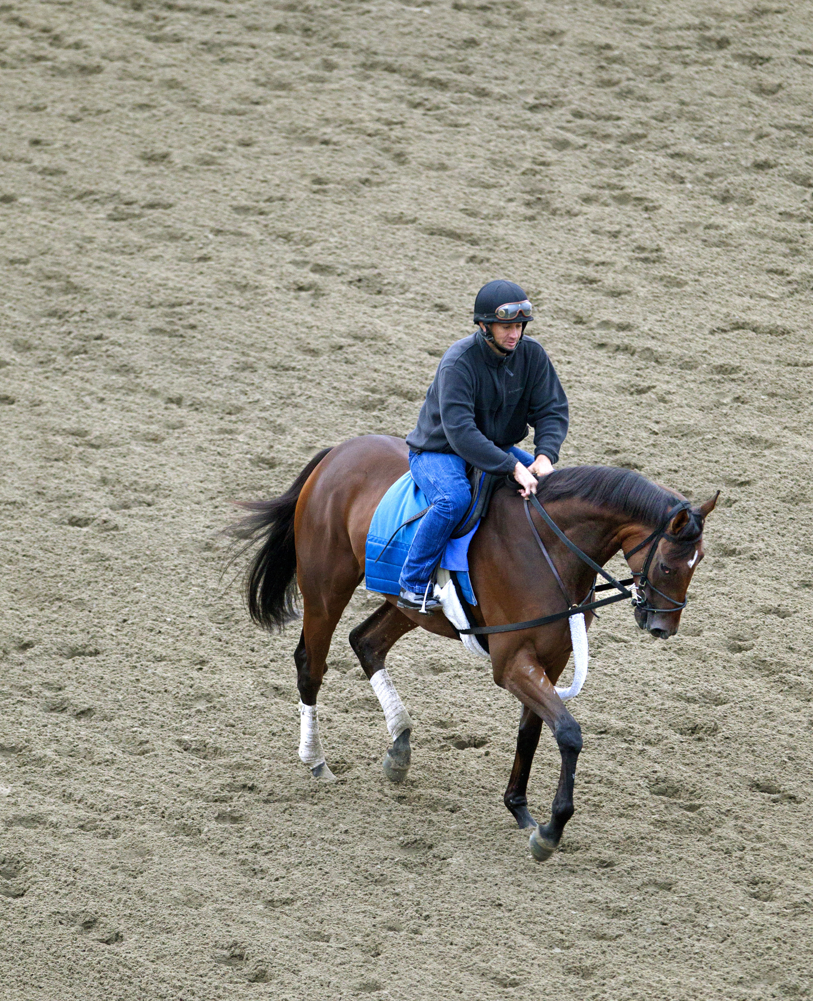 Departing trains at Saratoga