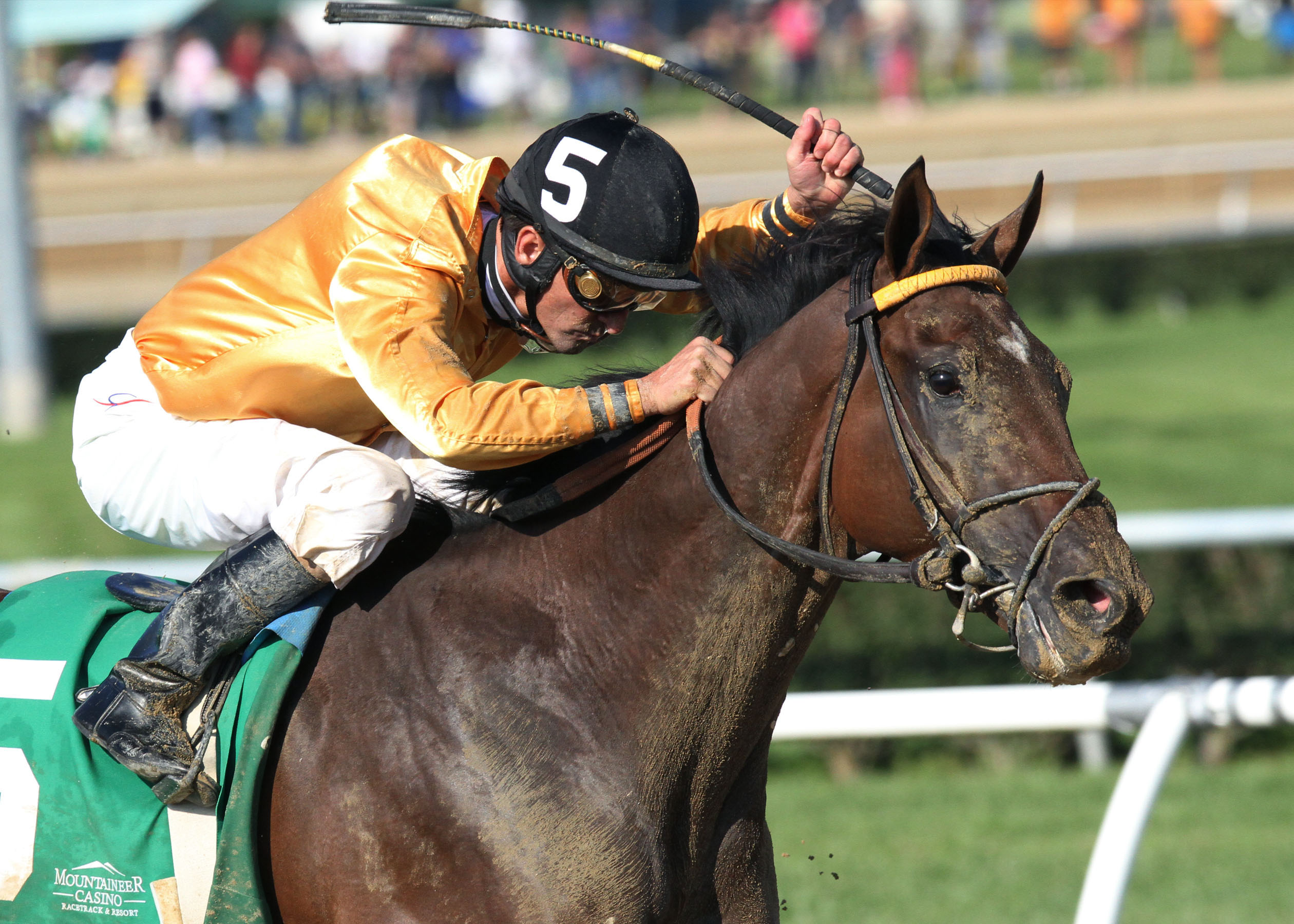 Departing, West Virginia Derby