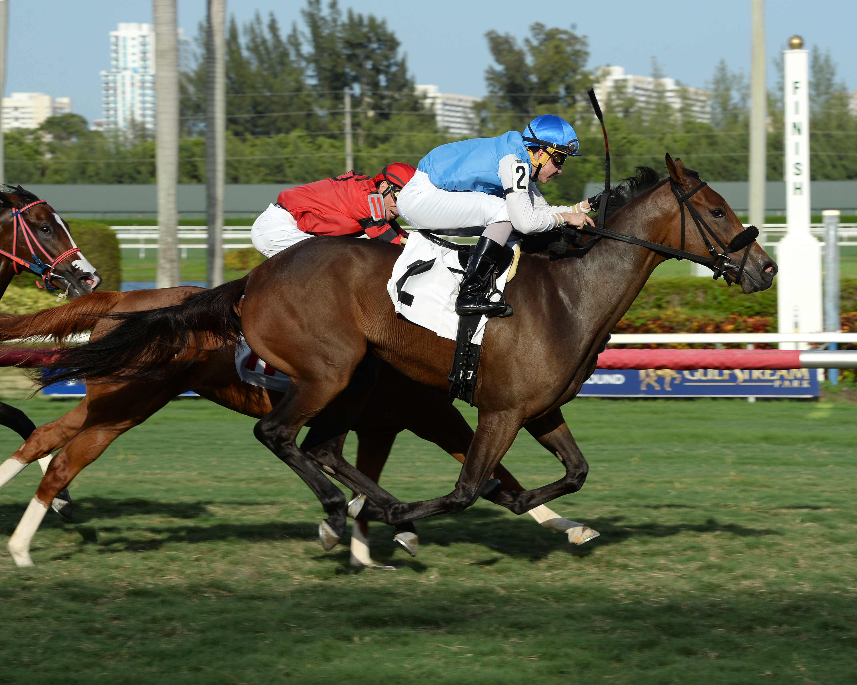 Deputy Dora wins her maiden debut