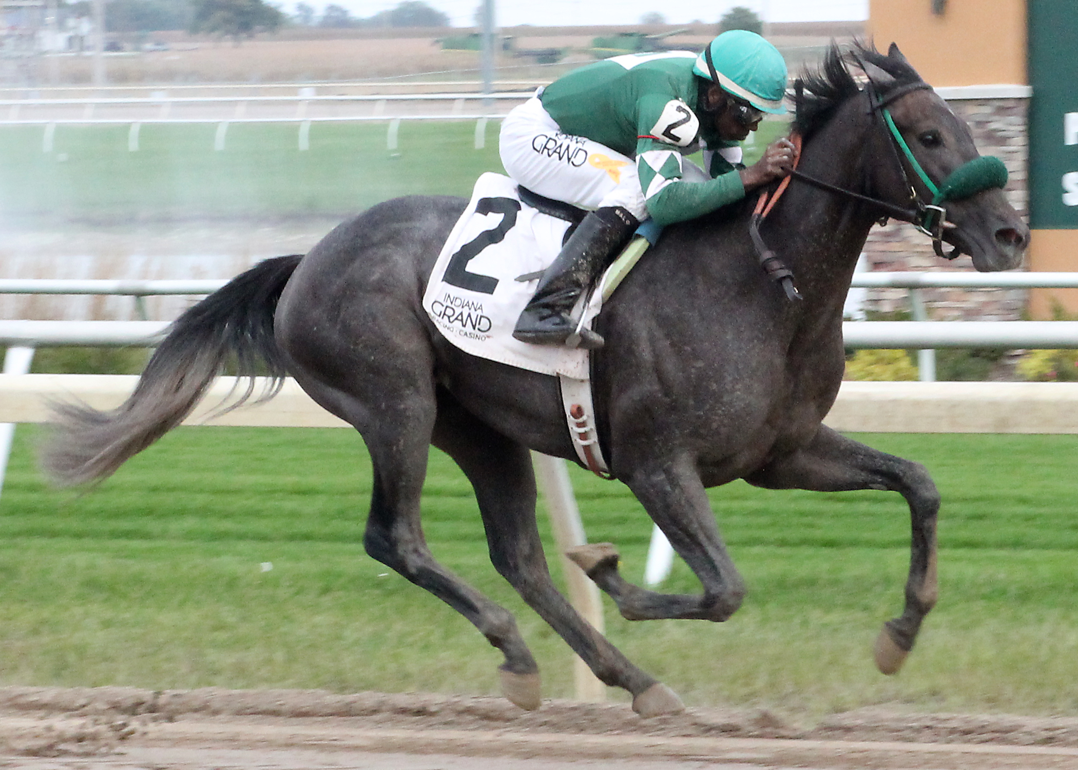 Derby Express wins the Crown Ambassador Stakes