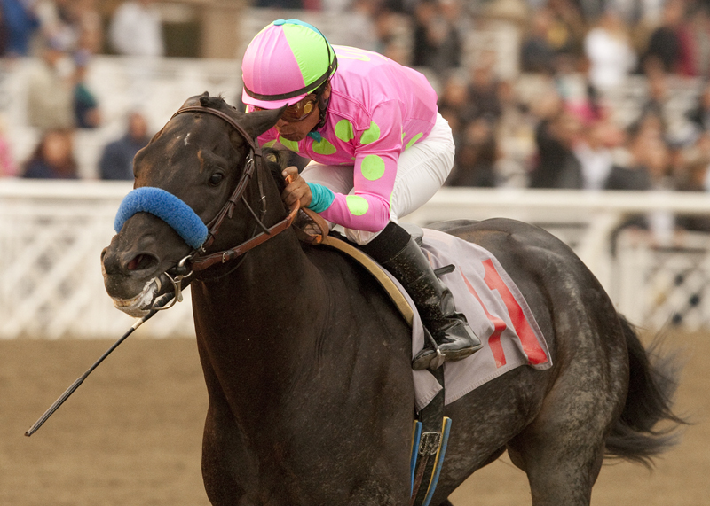 Derby Gold 3-31-2012