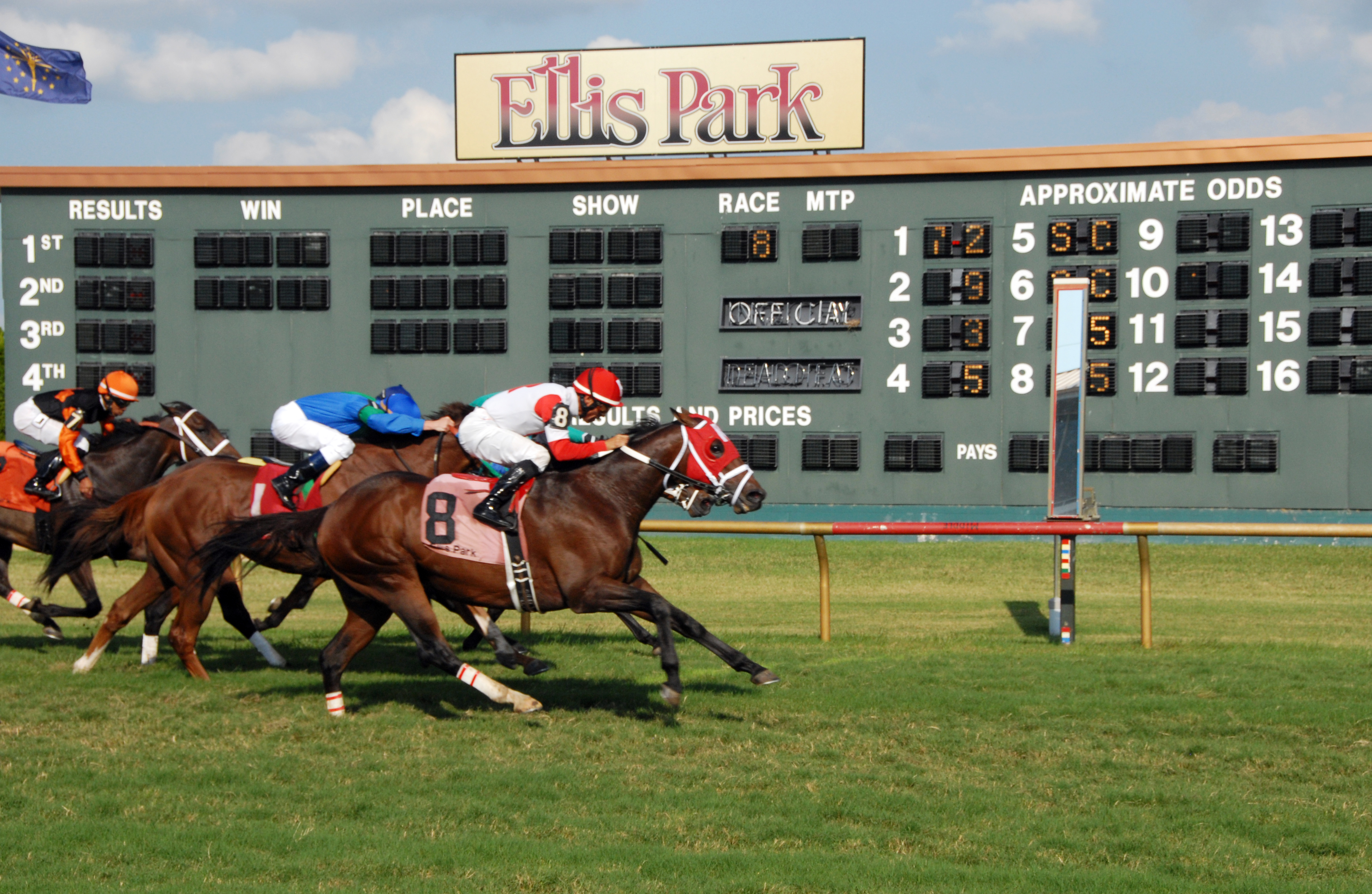 Derby Kitten at Ellis Park