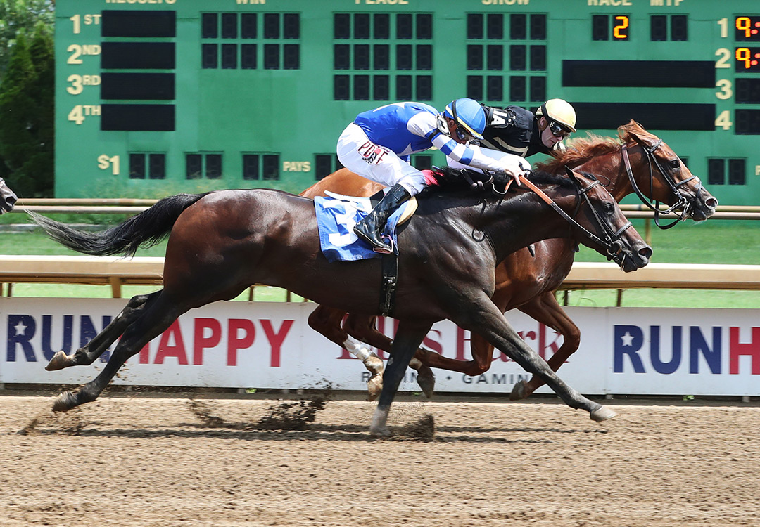 Dennis' Moment (No. 3) finishes second in an Aug. 20 allowance at Ellis Park