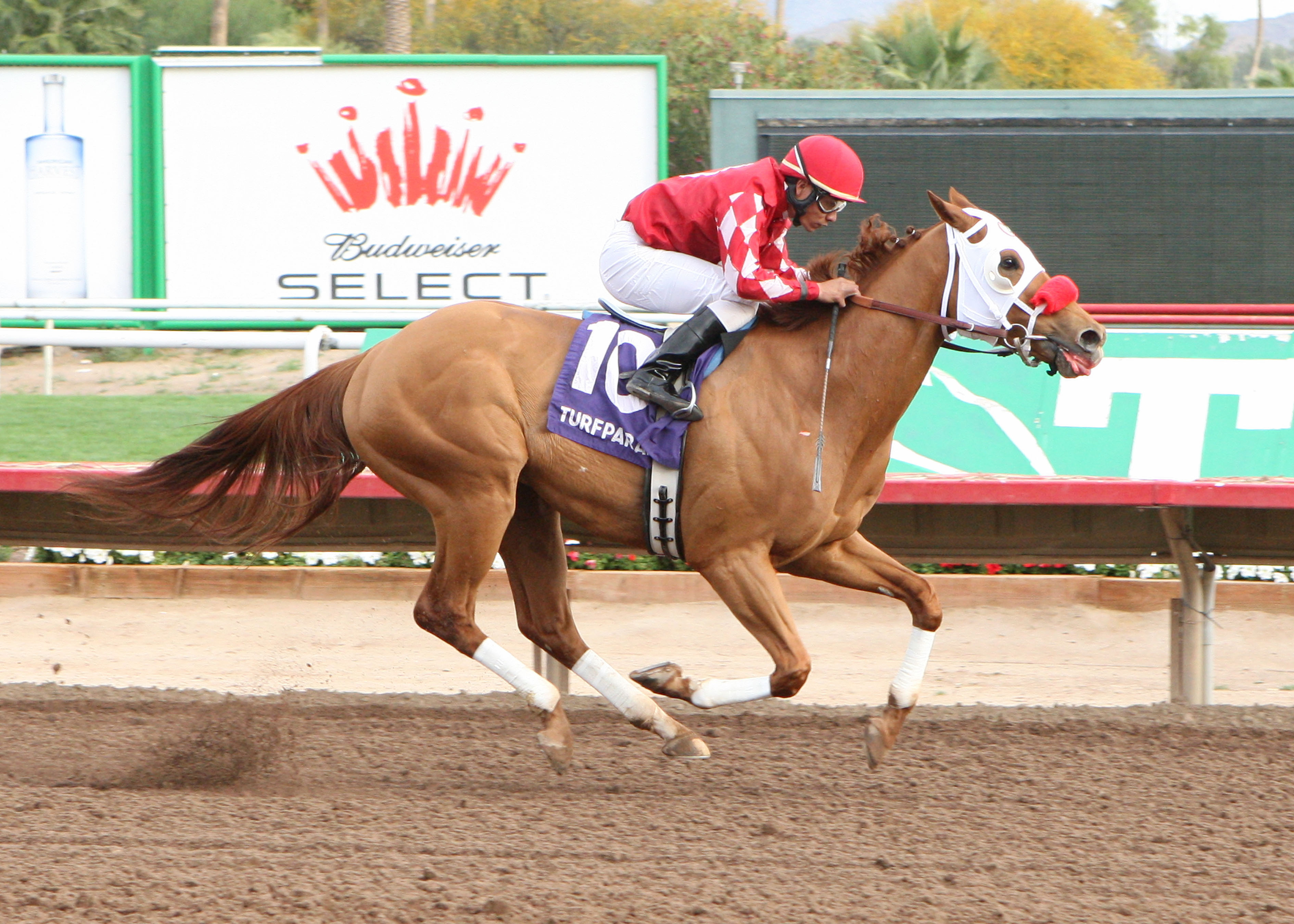 Derive/Coyote Handicap