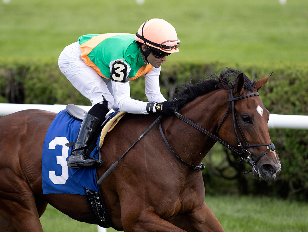 Derrynane wins a July 22 maiden race at Saratoga
