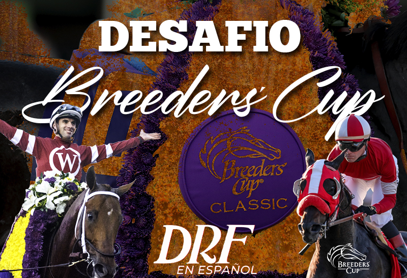 Desafio Breeders' Cup