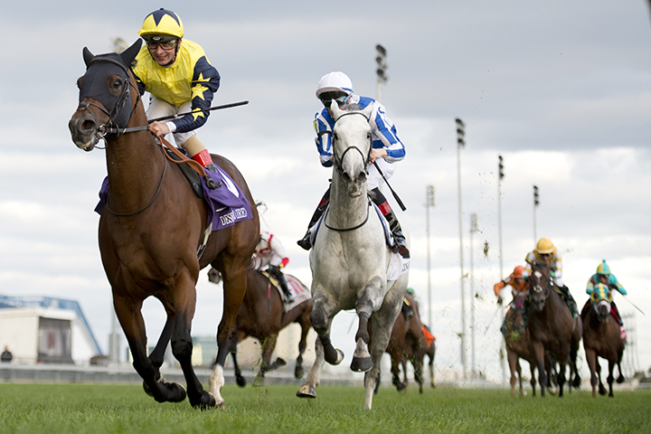 Desert Encounter wins the 2018 Canadian International
