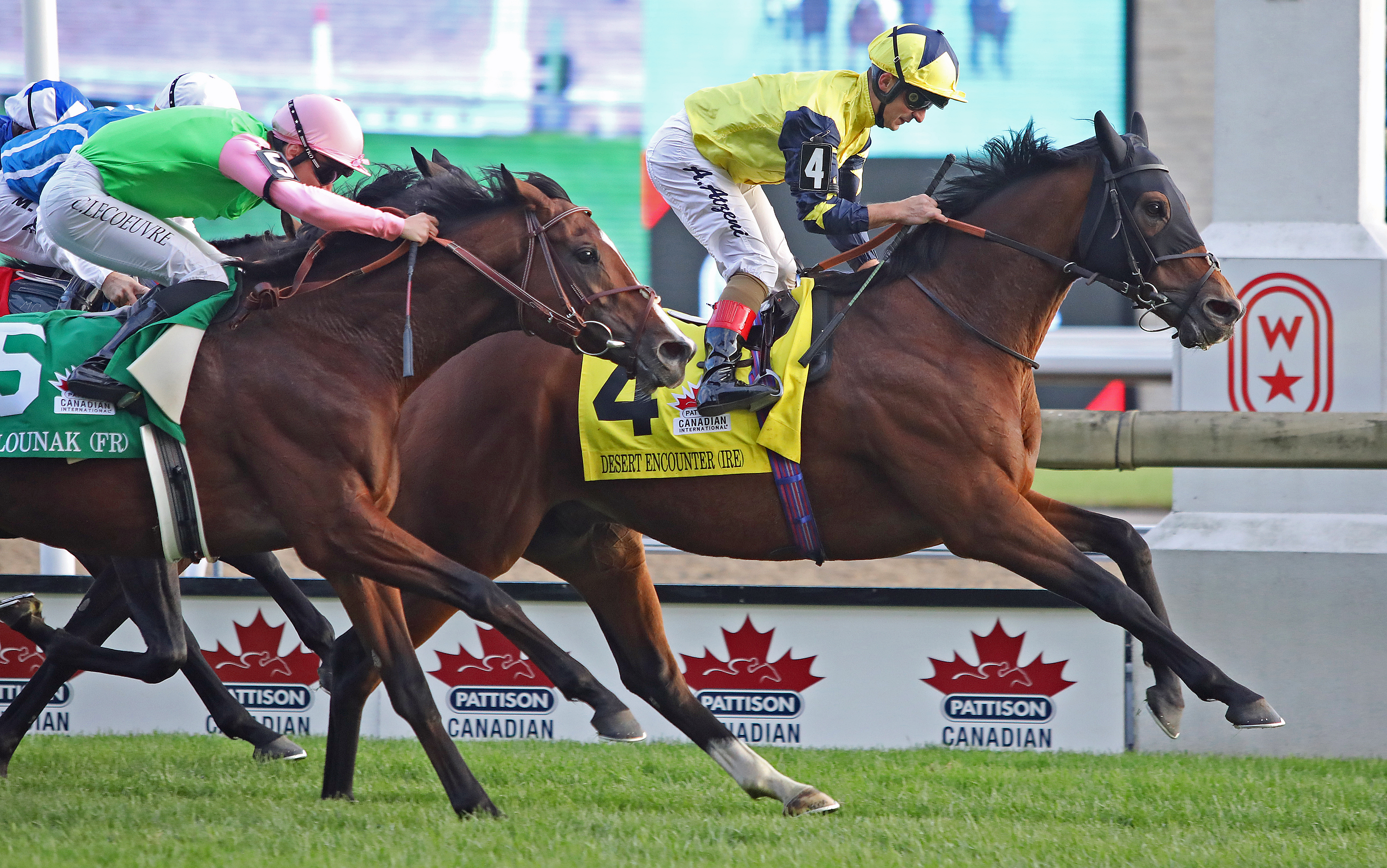 Desert Encounter wins the 2019 Canadian International