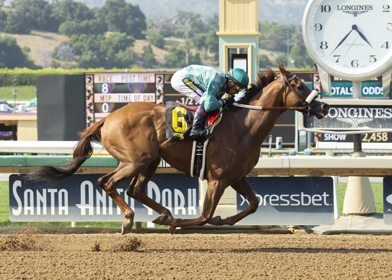 Desert Law wins the 2019 Thor's Echo