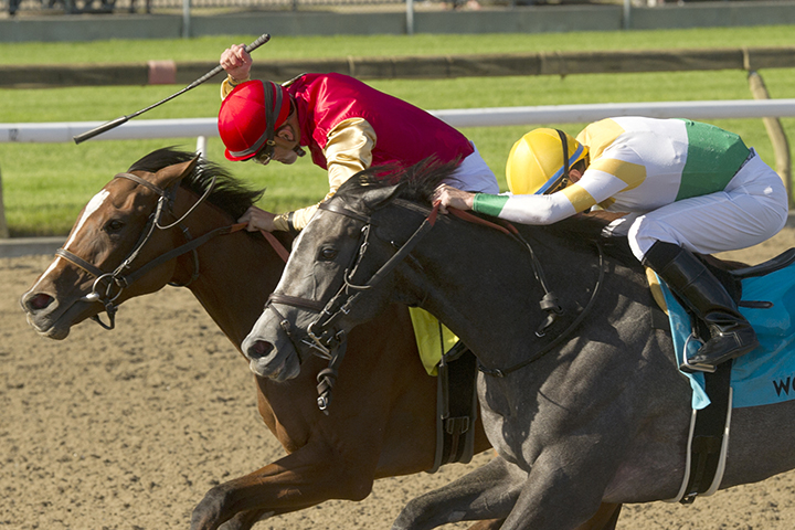Desert Ride wins the 2019 Woodbine Oaks