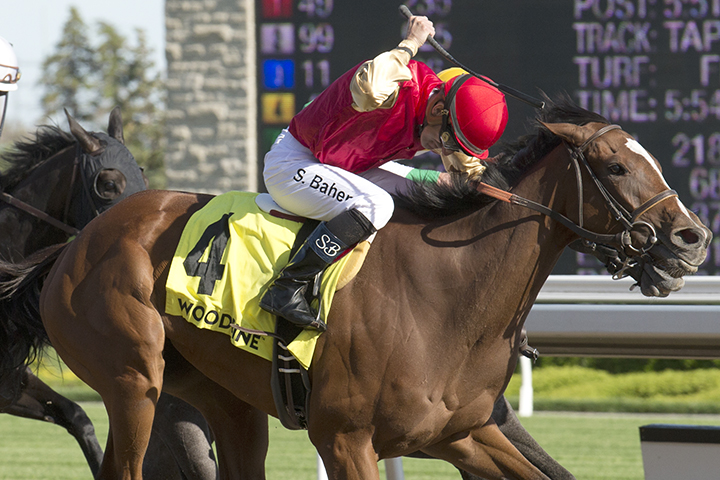 Desert Ride wins the 2019 Woodbine Oaks