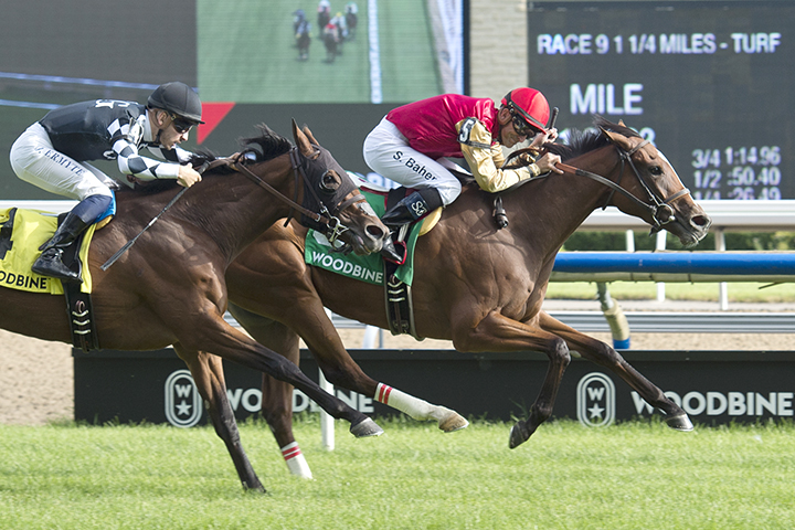 Desert Ride wins the 2019 Wonder Where at Woodbine