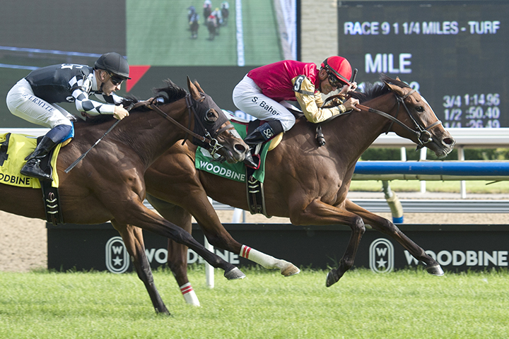 Desert Ride wins the 2019 Wonder Where at Woodbine