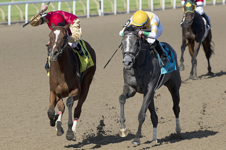 Desert Ride wins the Woodbine Oaks