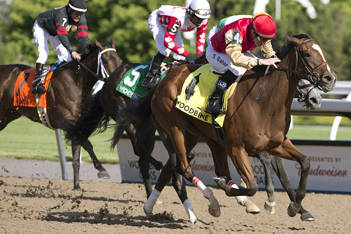 Desert Ride wins the 2019 Woodbine Oaks
