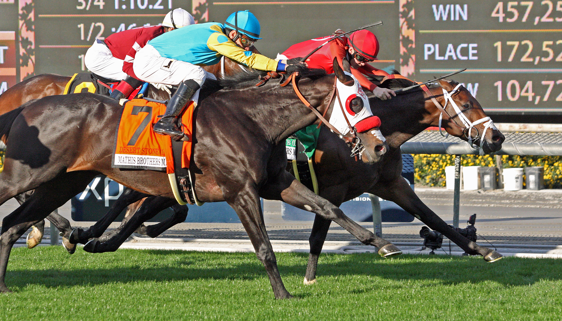 Desert Stone finishes second in the Mathis Brothers Mile
