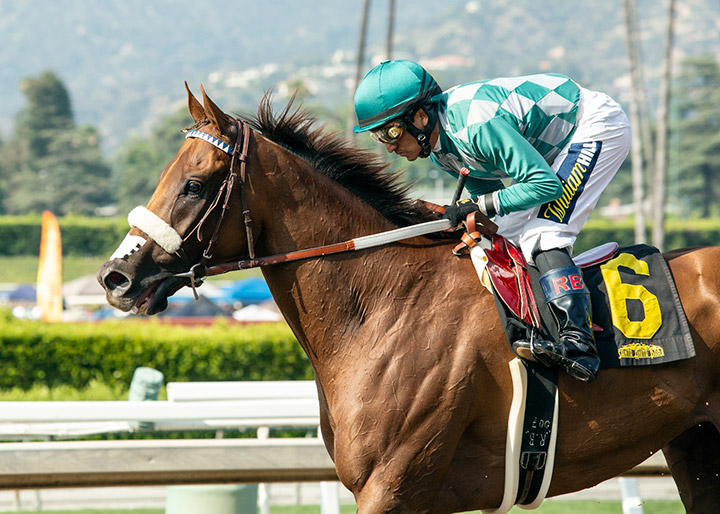 Desert Law after winning the 2019 Thor's Echo Stakes at Santa Anita