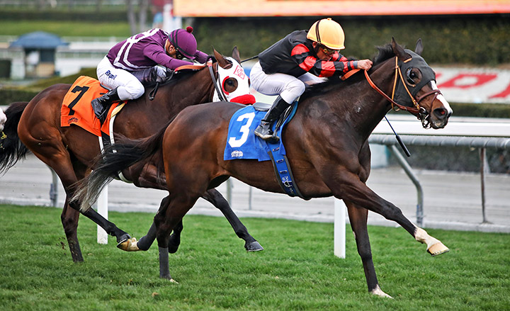 Desert Oasis wins a Feb. 9 optional claimer at Santa Anita Park