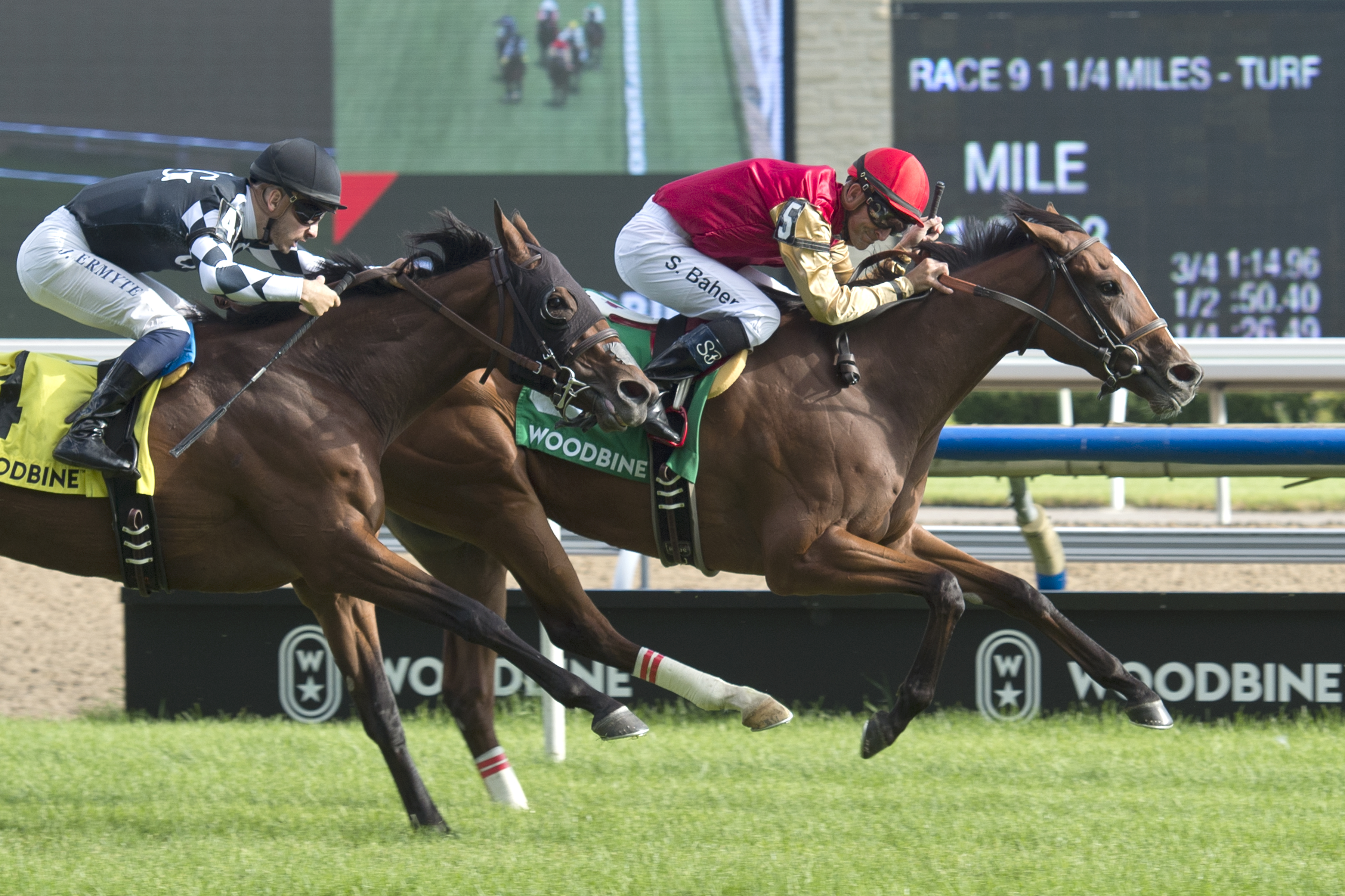 Desert Ride wins the 2019 Wonder Where Stakes