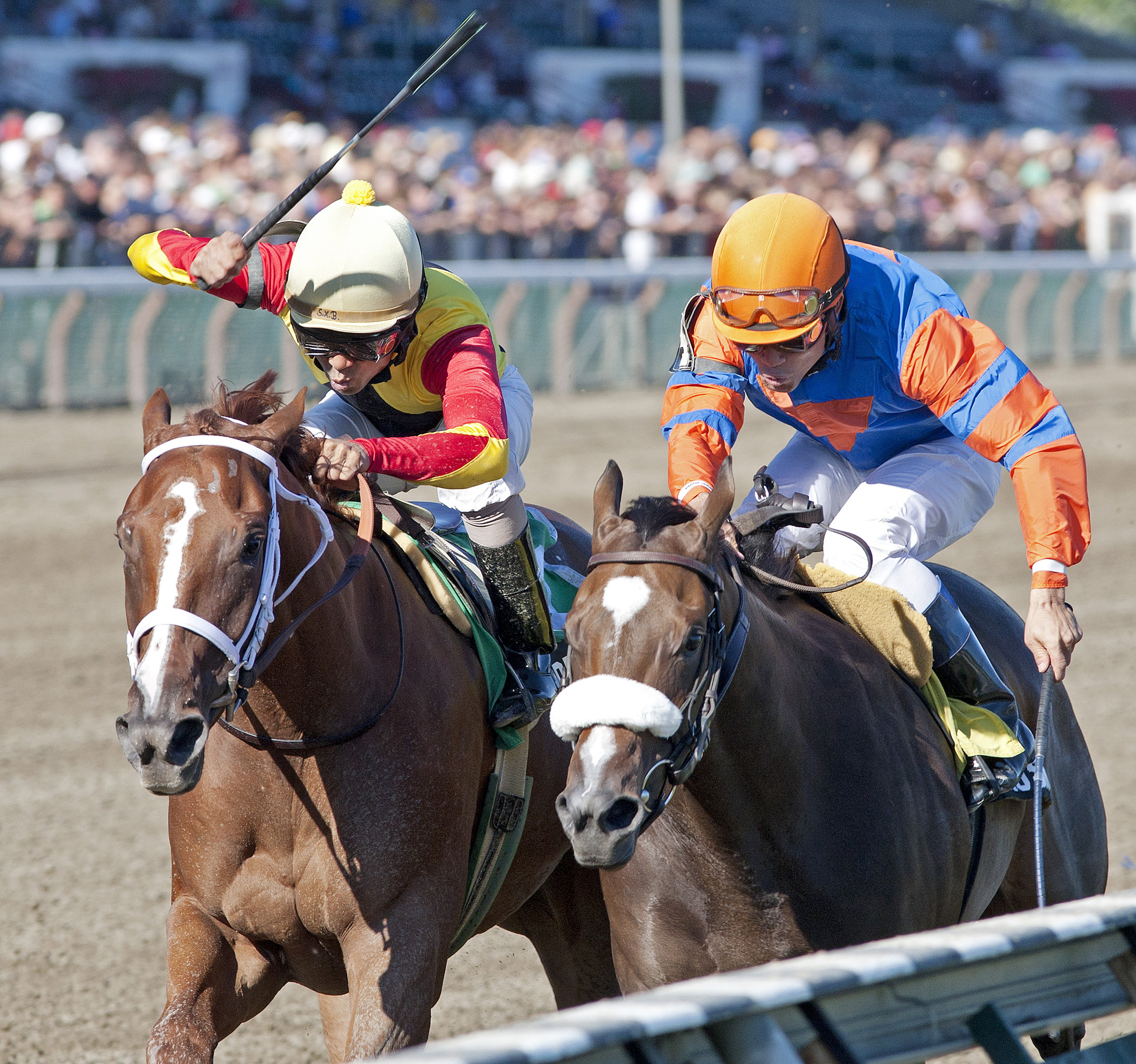 Designer Legs, Who's in Town, Adirondack Stakes