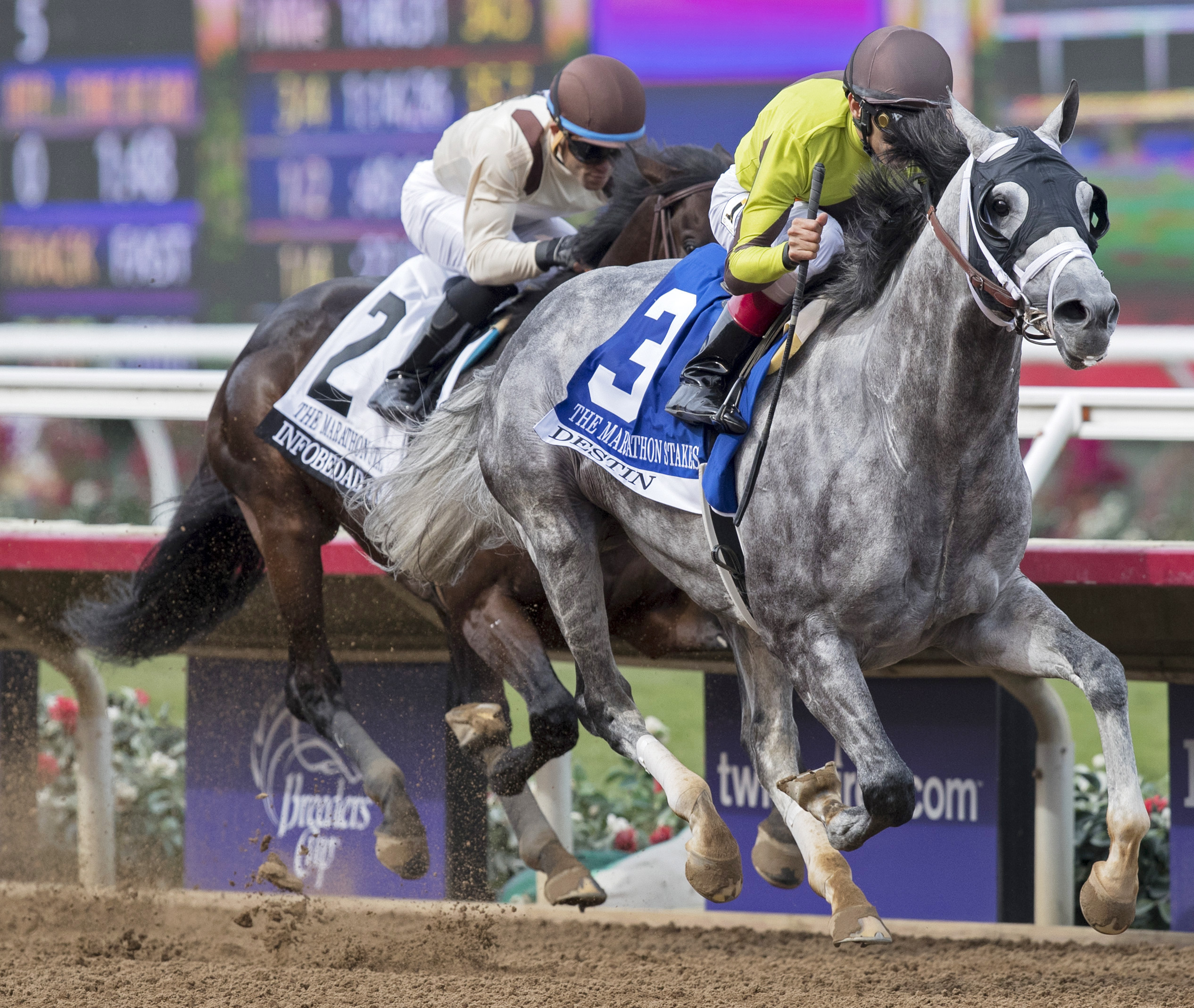 Destin wins the 2017 Marathon Stakes