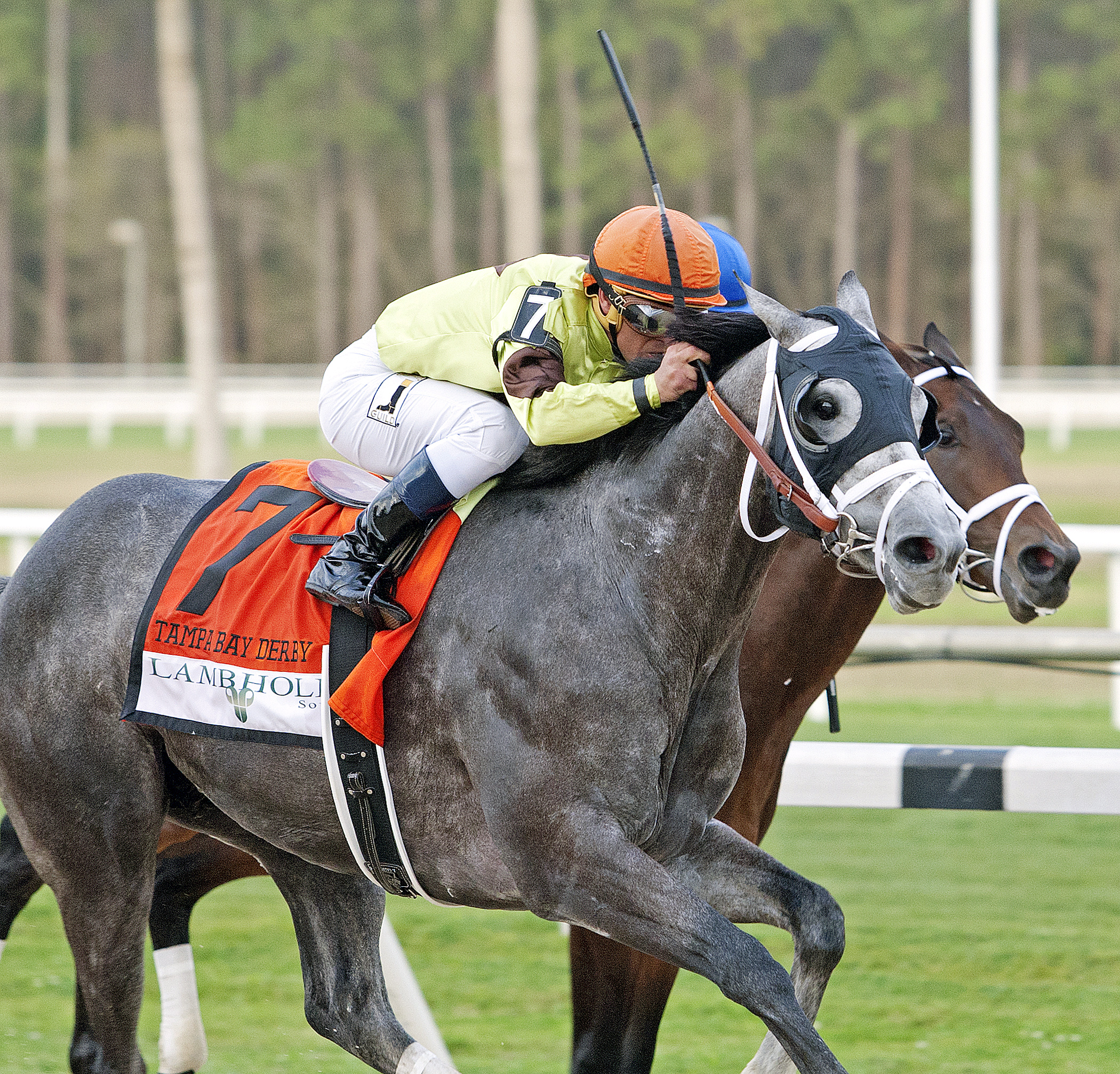 Destin wins the Tampa Bay Derby