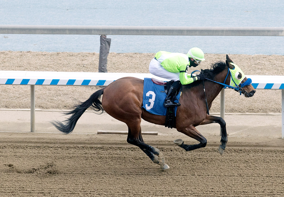 Destinationwnrscir wins a March 6 maiden race at Aqueduct