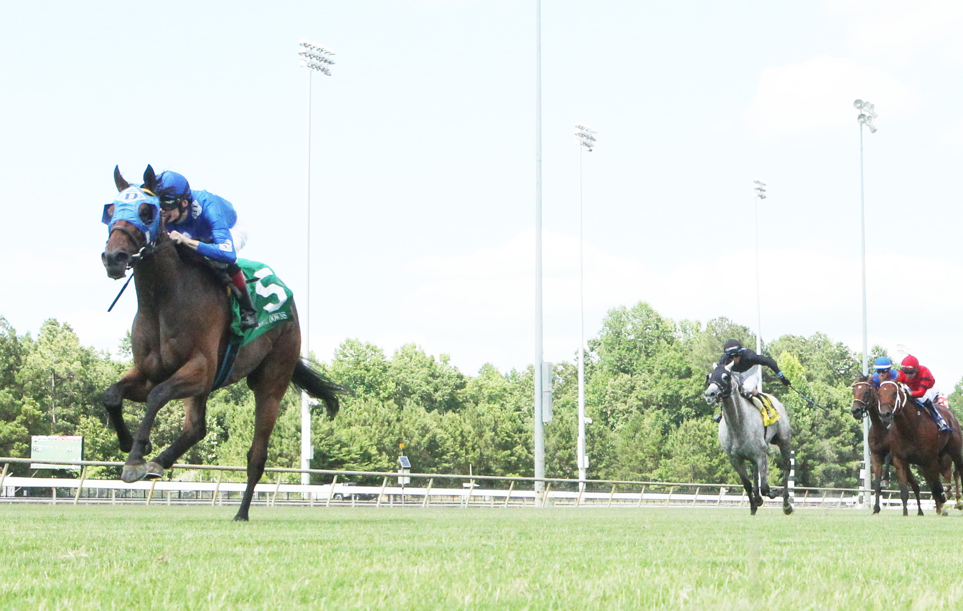 Determined Kingdom wins the Punch Line Stakes at Colonial on July 11 2022