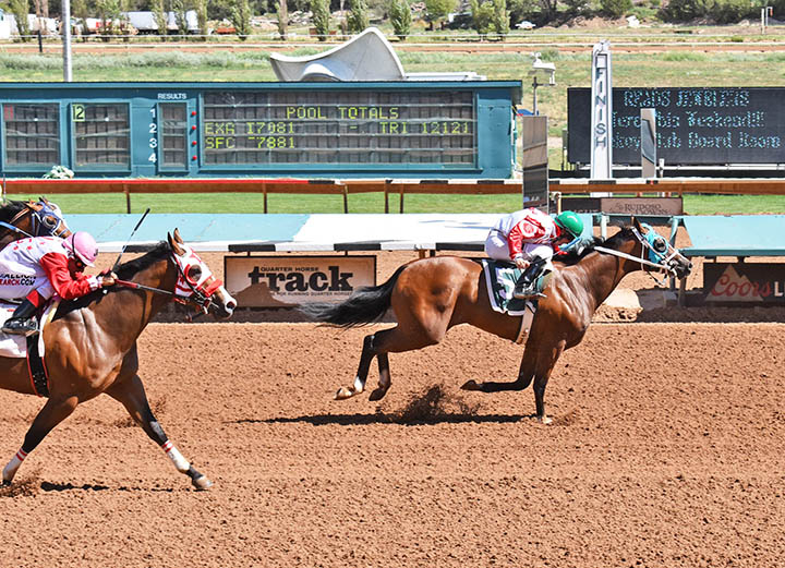 Determined One wins an All American Futurity trail at Ruidoso Downs