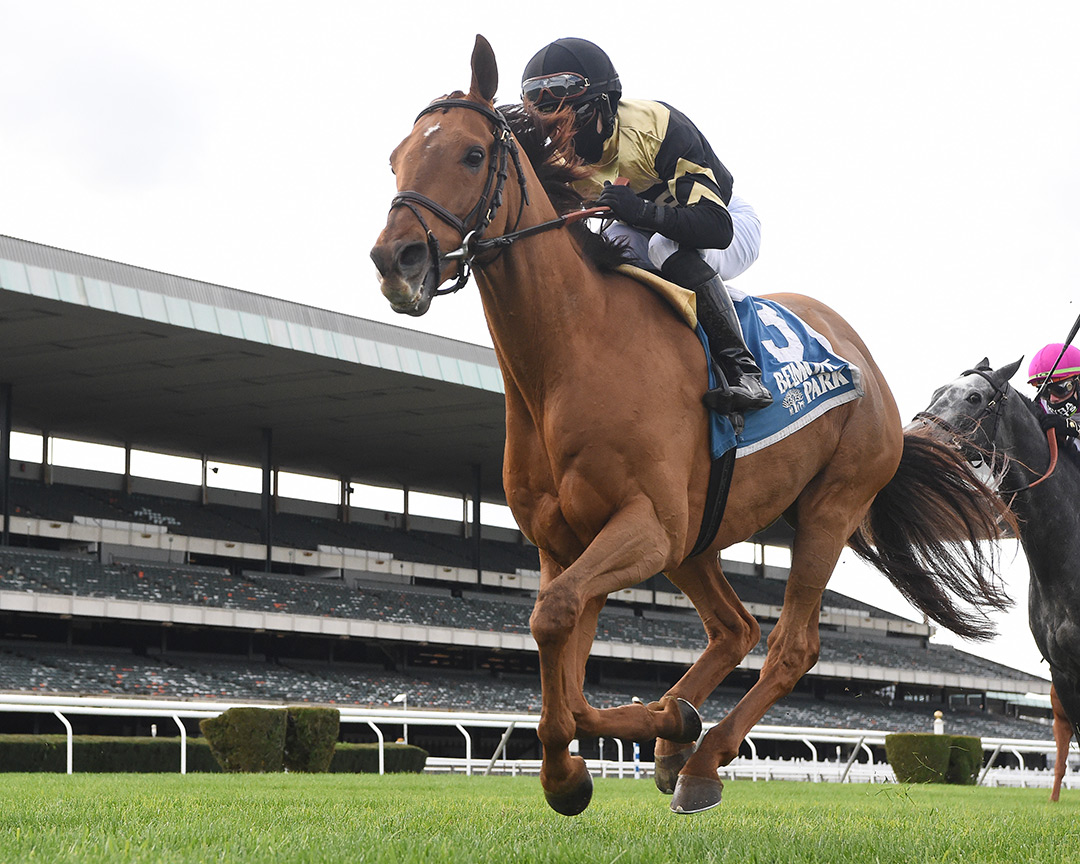 Devamani wins the 2020 Knickerbocker Stakes at Belmont Park
