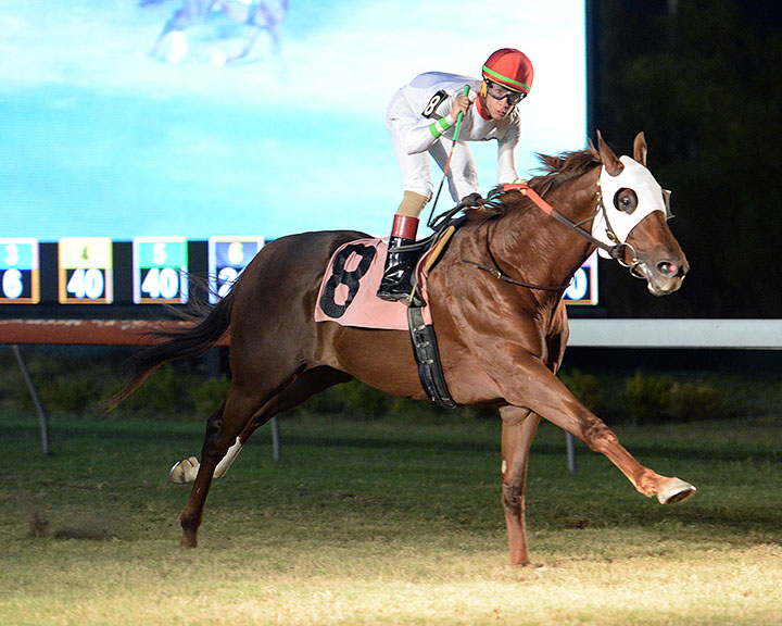 Deviant wins the 2019 El Joven Stakes at Retama Park