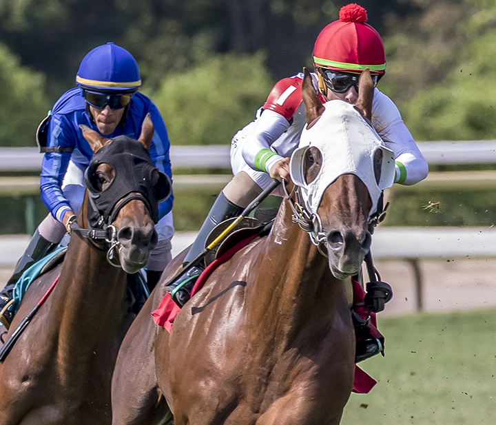 Deviant wins the 2019 Sunday Silence Stakes at Louisiana Downs