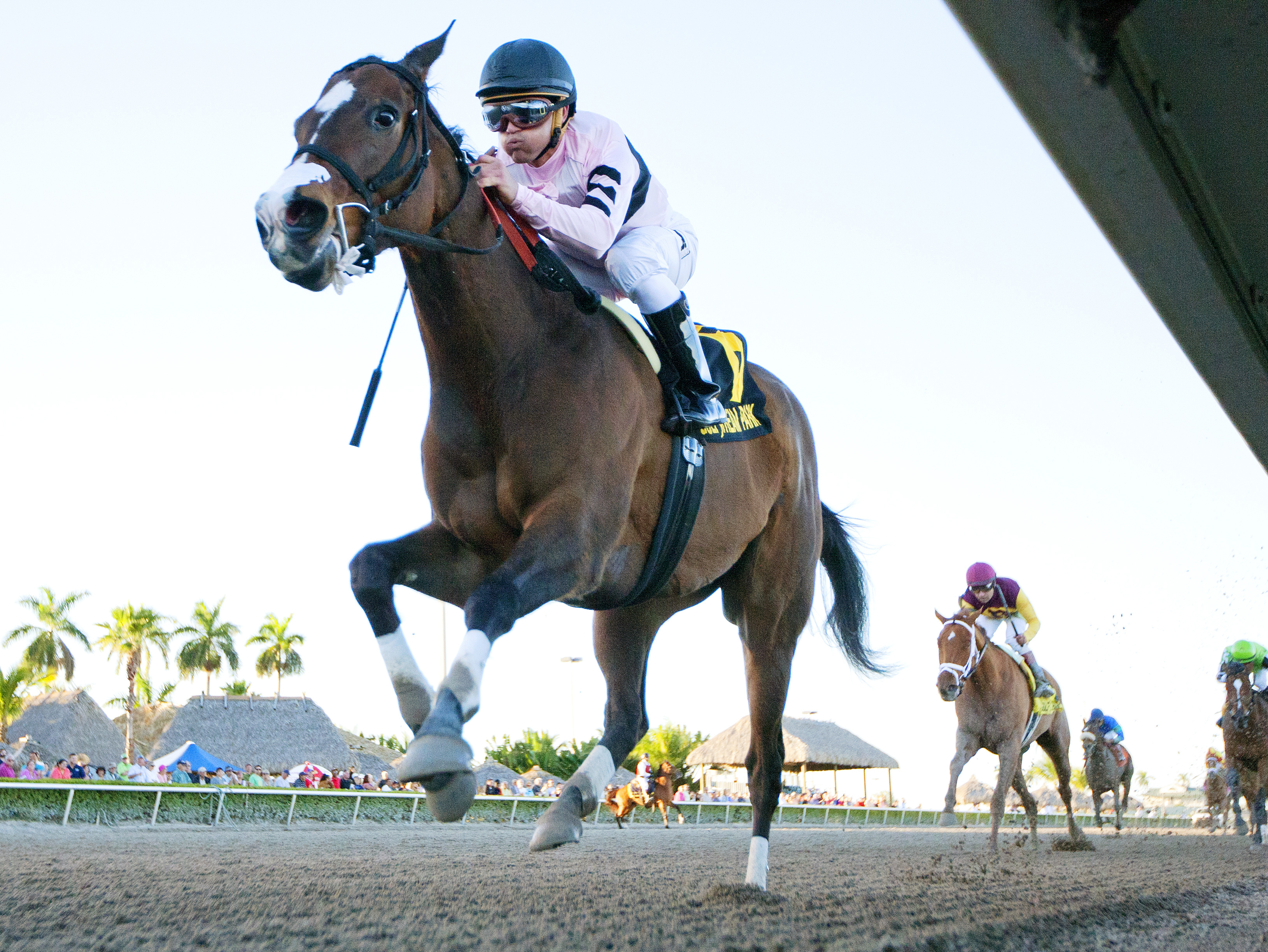 Devil's Cave wins the Sabin Stakes