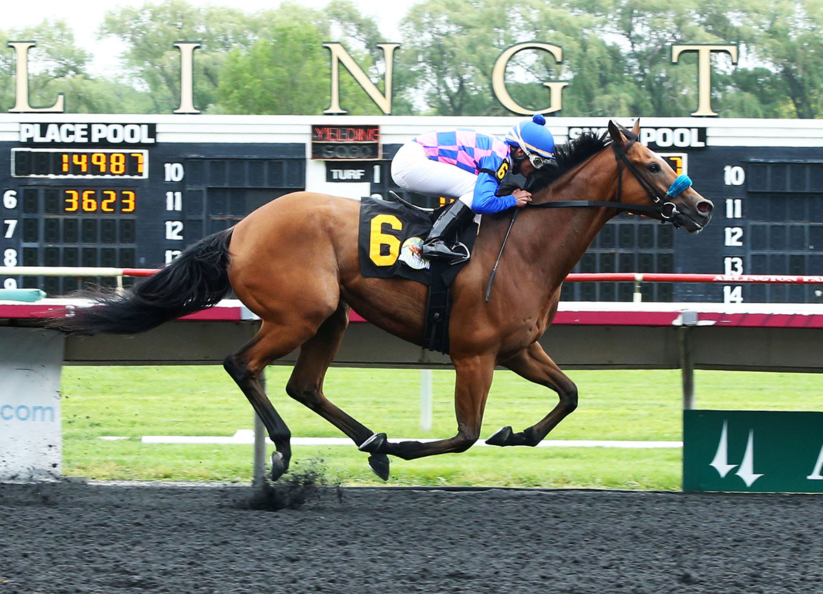 Devileye wins the Addison Cammack Memorial