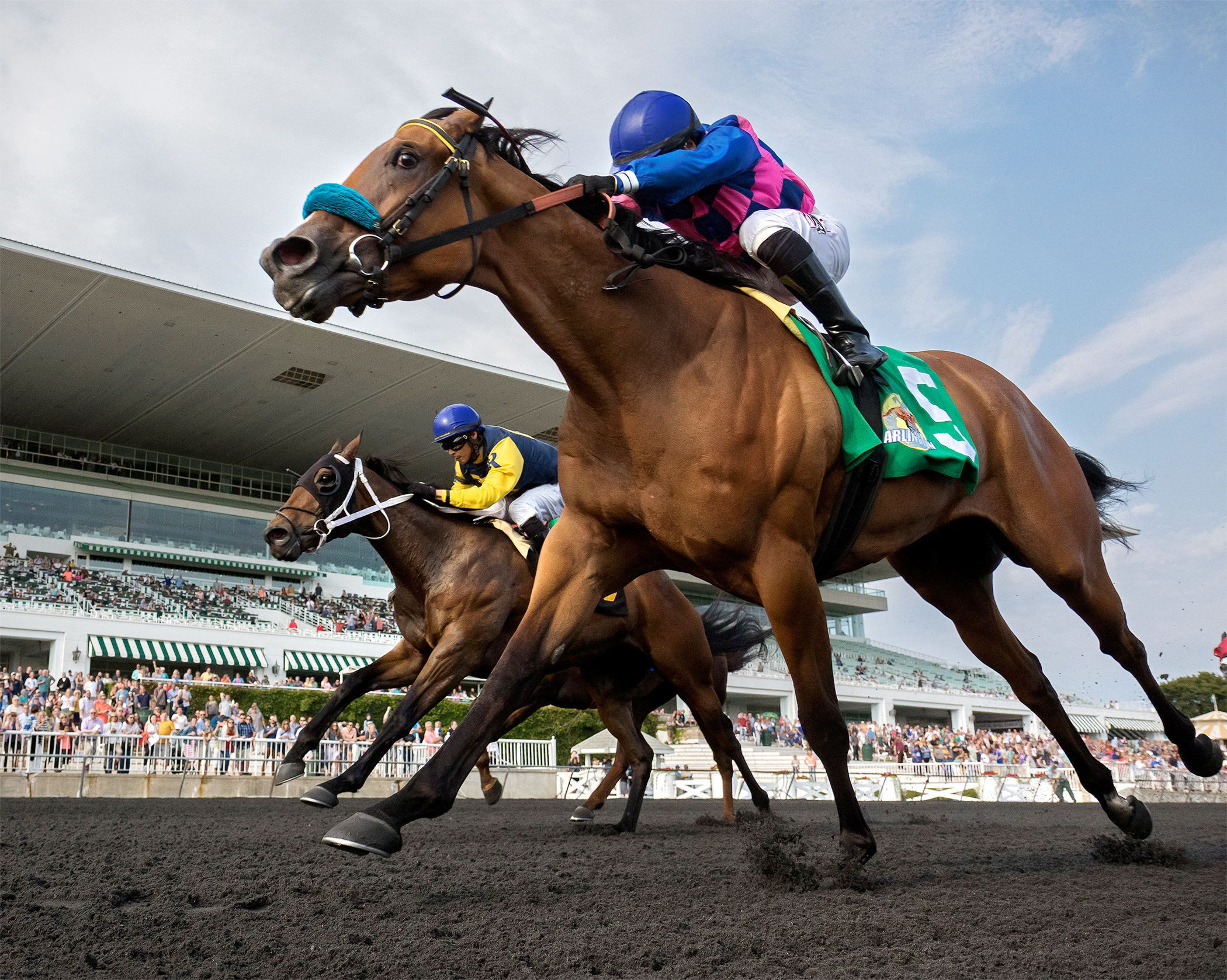 Devileye wins the 2017 Arlington Heights Stakes