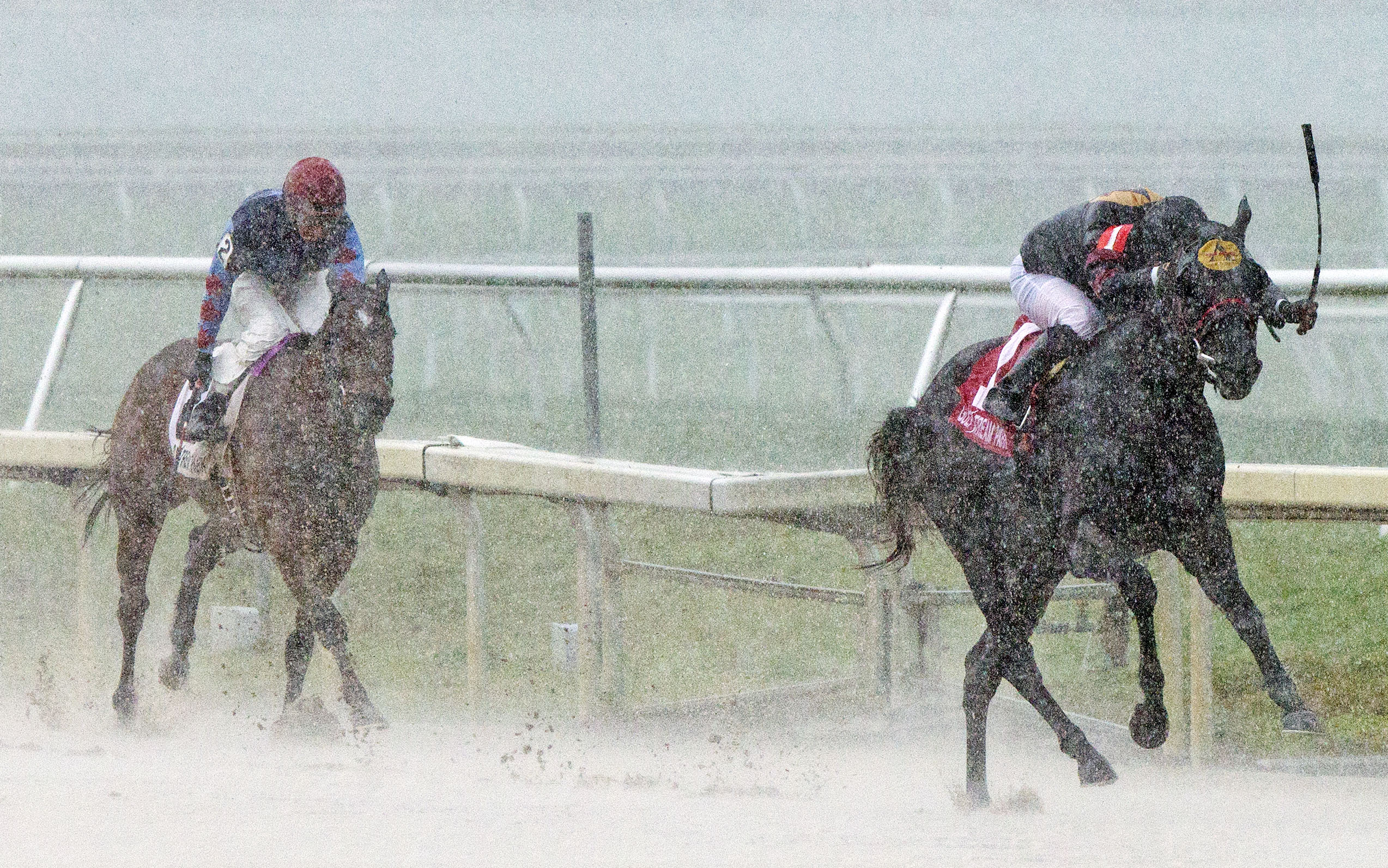Devine Aida wins the Herecomesthebride Stakes