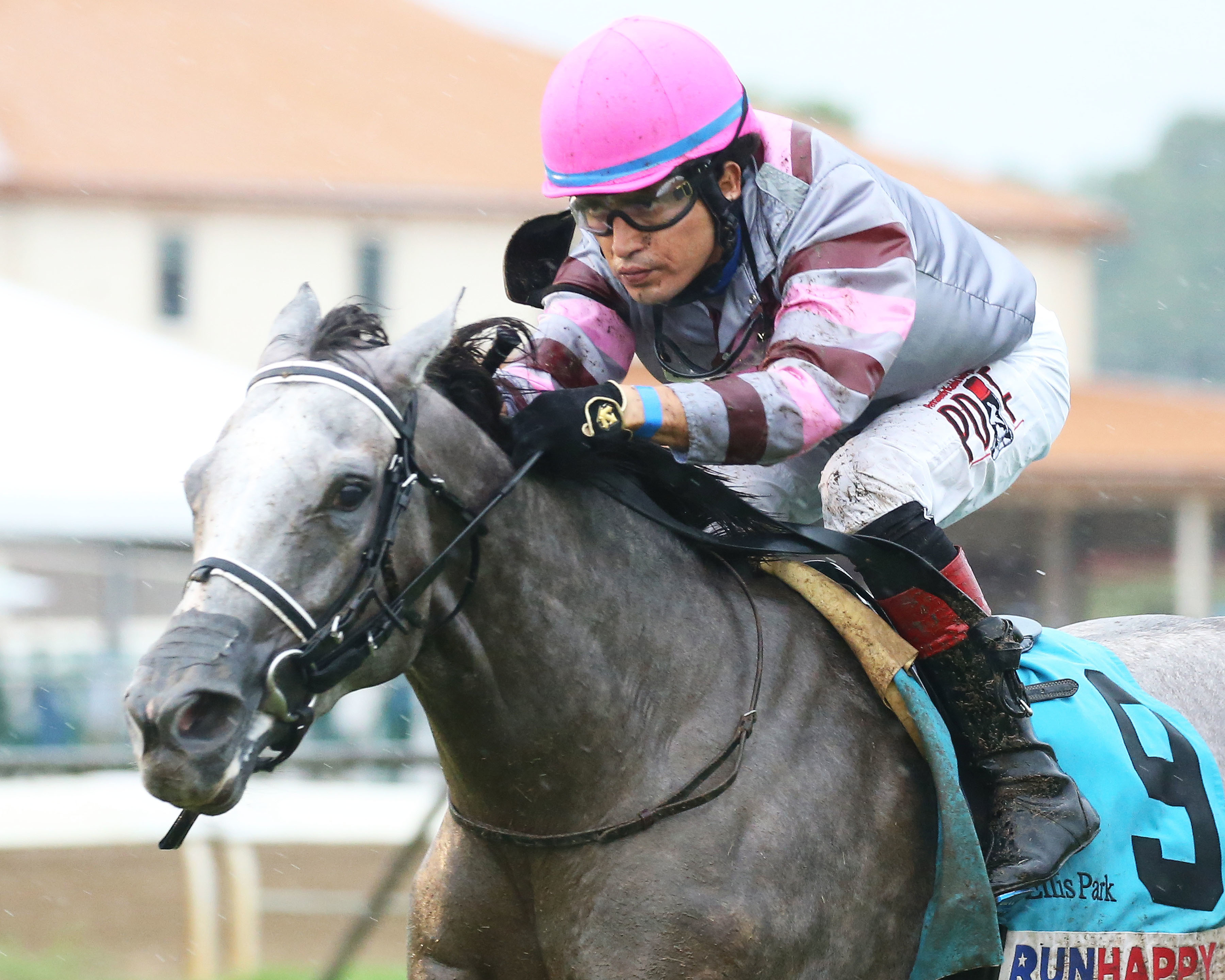 Devine Charger wins an Ellis maiden race on Aug 21 2021