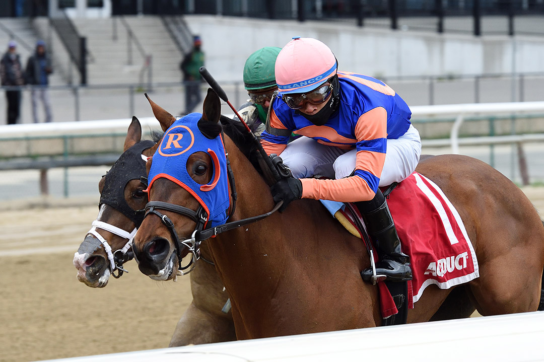 Devious Mo wins the 2021 Times Square Stakes at Aqueduct